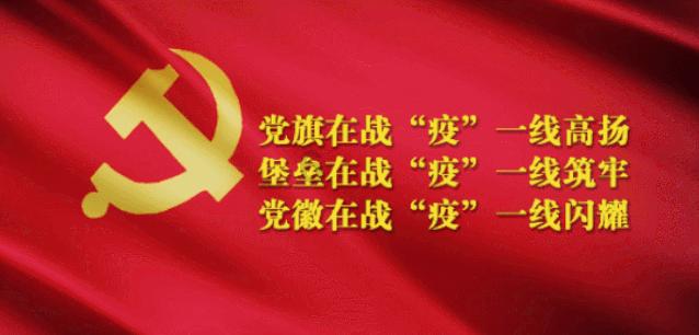 远征军：维京